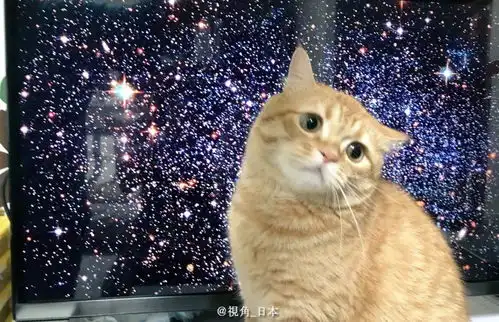 今日趣闻偶像宅最容易产生的幻觉日本人和欧美人表达情感的区别等