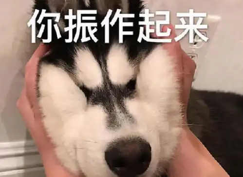 英语分数直降20分,高考也会降低吗