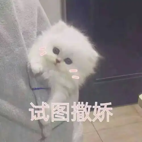 撩汉的过程是怎样的撩汉成功是种怎样的体验