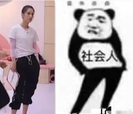 当明星失去偶像包袱张若昀变二哈,沈梦辰摔成表情包