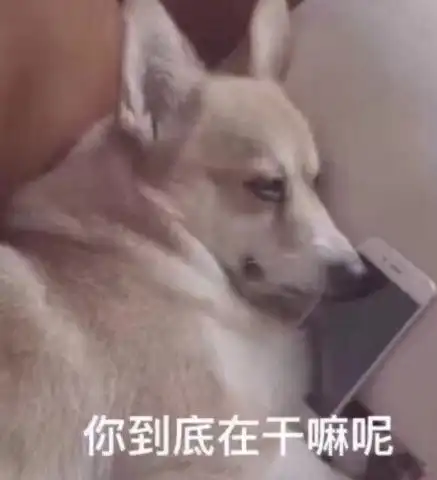 表情包来袭看这几组表情包,不知道有没有你喜欢的