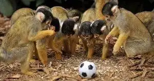 吐槽图片