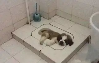 测试一个超长简介的文章