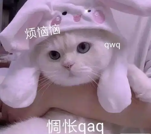 微信新功能再见了,聊天记录