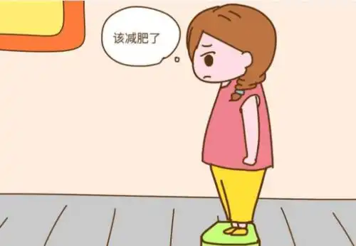 搞懂基础代谢更容易减肥绿瘦这篇帮你秒懂它