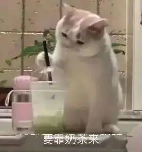大学生的搜索词条竟然是