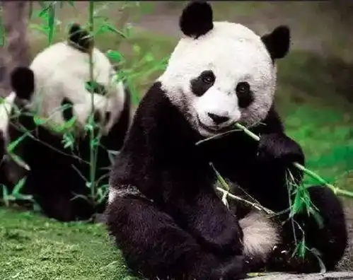 看完这篇文章,你不跟着唱,算我输