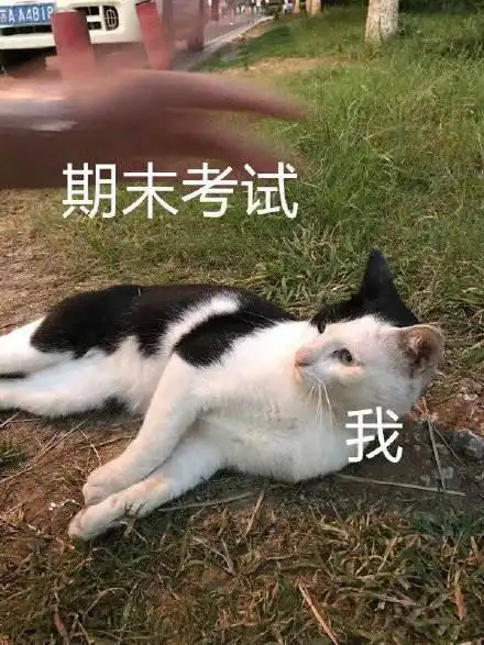 学生党表情包不学习的人没资格一起玩