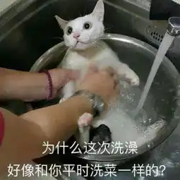 沙雕表情包忘了我这个已经爬墙的人渣吧再见