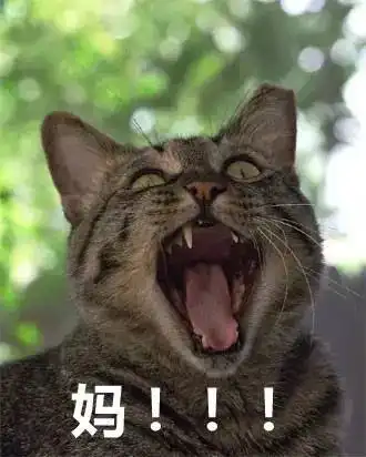 感觉这波表情包,不管什么时候都会一直火