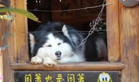 开心一刻再申请小号的时候能不能不要用你的照片做头像