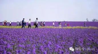 金昌市人民政府今日头条浪漫经济让城市迈向高大上看婚庆旅游业如何赋予金昌发展新图景