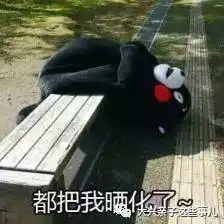 大兴亲子玩遍大兴先农农场diy薰衣草冰淇淋彩虹糖水上乐园