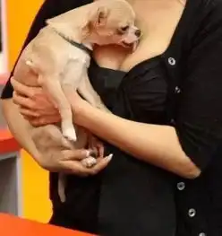搞笑大小王大王搞笑图片段子老婆在厨房做饭,丈母娘偷偷给我500块钱