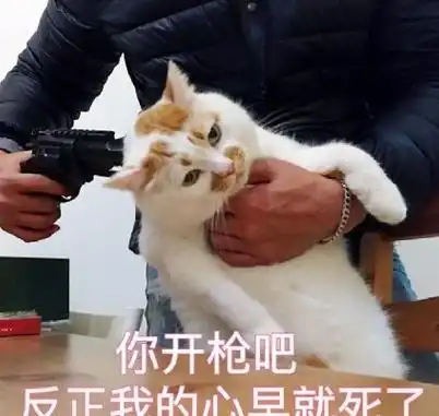 又一个童年女神,塌了