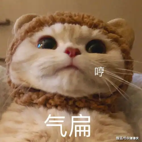 好玩表情包图片蜡笔小新动画