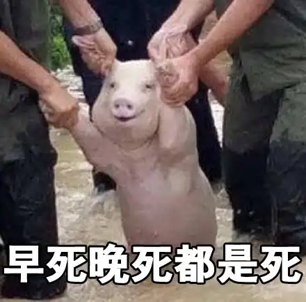 2017年度表情包大赏小猪佩奇,笑着活下去,边缘试探.你最爱哪一个