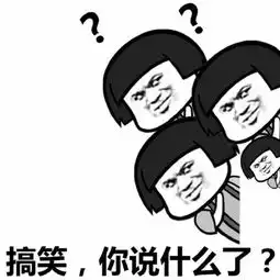你说什么你再说一遍表情包