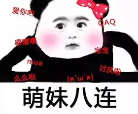 素质n连骂人表情包