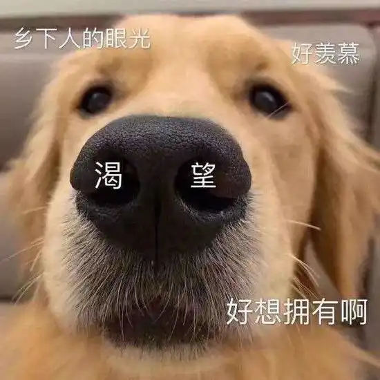 早春预定来喽这些配饰和鞋子有点时髦