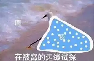 广东高校冬训时间表一览,你心水的大学是不是冬训