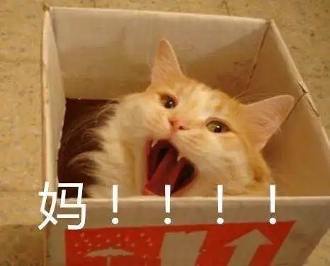 妈,给我钱买个耳机我大概是你的自动取款机啊