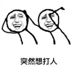 这一年,你陪我们走过的护猿之路