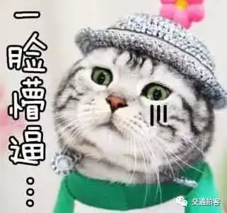 测试一个超长简介的文章