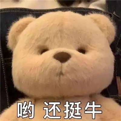 超级可爱的莉娜熊表情包合集