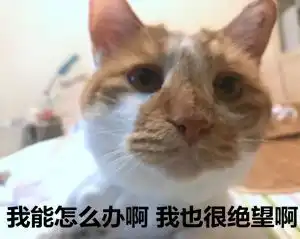 2017年度表情大赏总有一个是你最爱