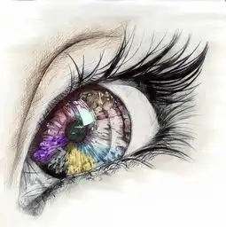 一个椭圆形如何把他里边弄的摆的或者画的好看