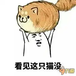 球球大作战怼人斗图专用表情包不一样的九图