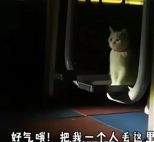 爆笑趣图就纹了一个字,看效果怎么样哈哈哈纹身师这波亏大了