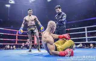 播求不服9张图怒斥裁判太黑请拳迷自行评判