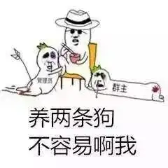 表情包可爱萌卡通动漫gif纯文字污金馆长堆糖,美好生活研究所