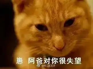 一大波猫咪表情包正在来袭,请接招...