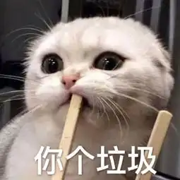 壁纸头像超可爱搞笑猫咪表情包