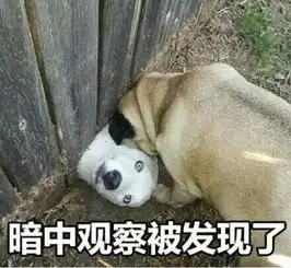 街舞上演极限24小时罗志祥成挖人机,叶音骨折跳舞太给力