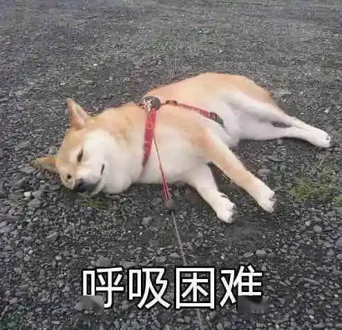 发现一个定律喝奶茶能够增强记忆力段子