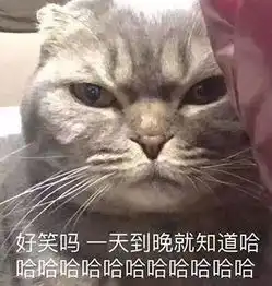 愿风里雨里,再智障也有人陪你