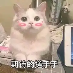 今晚配字gkd一定超有趣