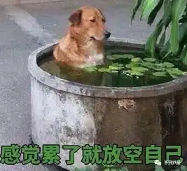 真正的有钱人如何享受印度首富嫁女儿告诉我们什么是没有界限的奢华