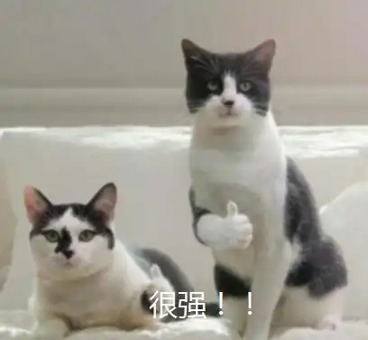 伞界黑马击破行业底线,23元搅局百亿市场,无所畏惧暴风暴晒暴雨