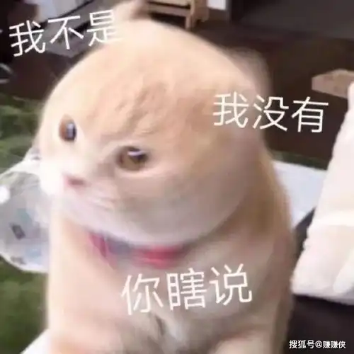 热门表情包图片有个单身狗在看我们,爱情总是让人盲目