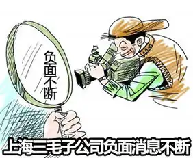上海三毛定增中止转型暂搁浅专题