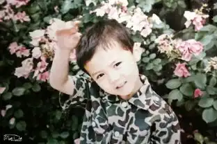 鹿晗李易峰林志颖谢霆锋陈翔黄晓明中韩明星童年照大对比