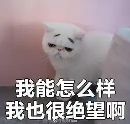 大zhou神复出还未开工就已杀青领盒饭