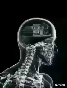 测试一个超长简介的文章