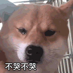 这次河南卫视的中秋奇妙游,真的有看头
