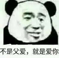 当然是父爱恶搞表情下载当然是父爱表情包下载飞翔下载